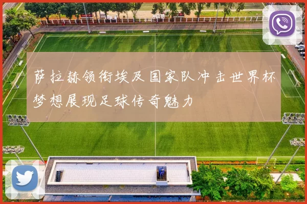 萨拉赫领衔埃及国家队冲击世界杯梦想展现足球传奇魅力